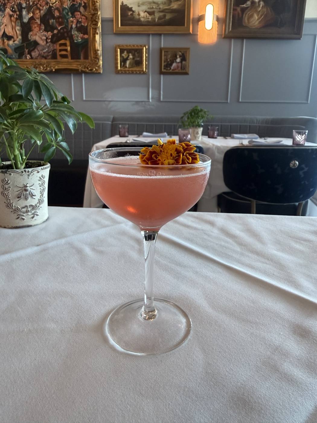 A pink cocktail in a coupe glass garnished with a marigold flower